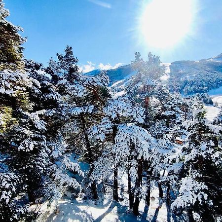 Petit Ours Blanc Daire Greolieres Dış mekan fotoğraf